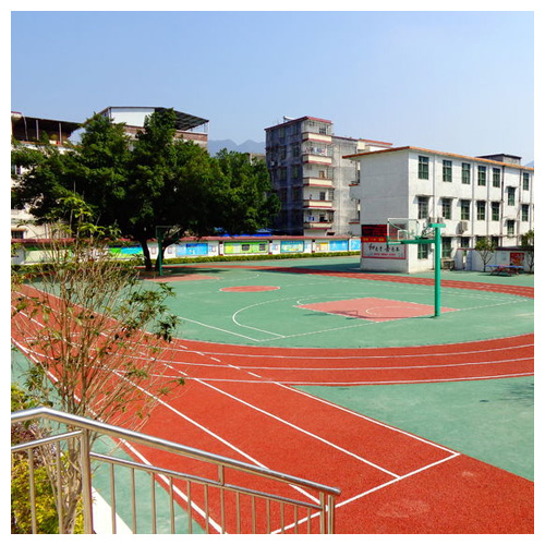 东丽雷公坑小学复合型塑胶跑道